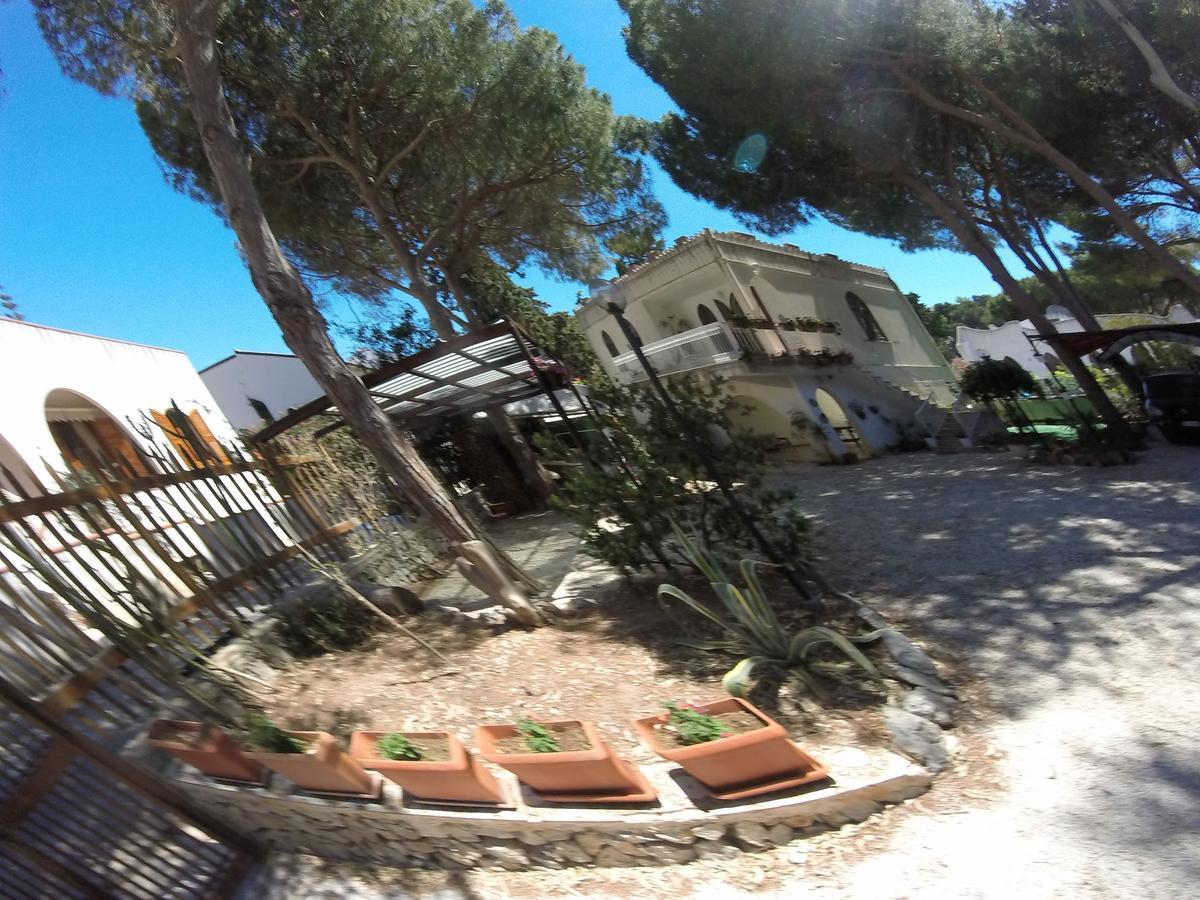 Villa Sul Porto San Vito Lo Capo Eksteriør bilde
